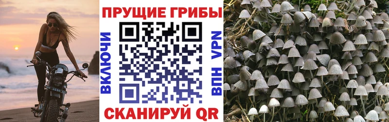 Галлюциногенные грибы ЛСД  Дно 